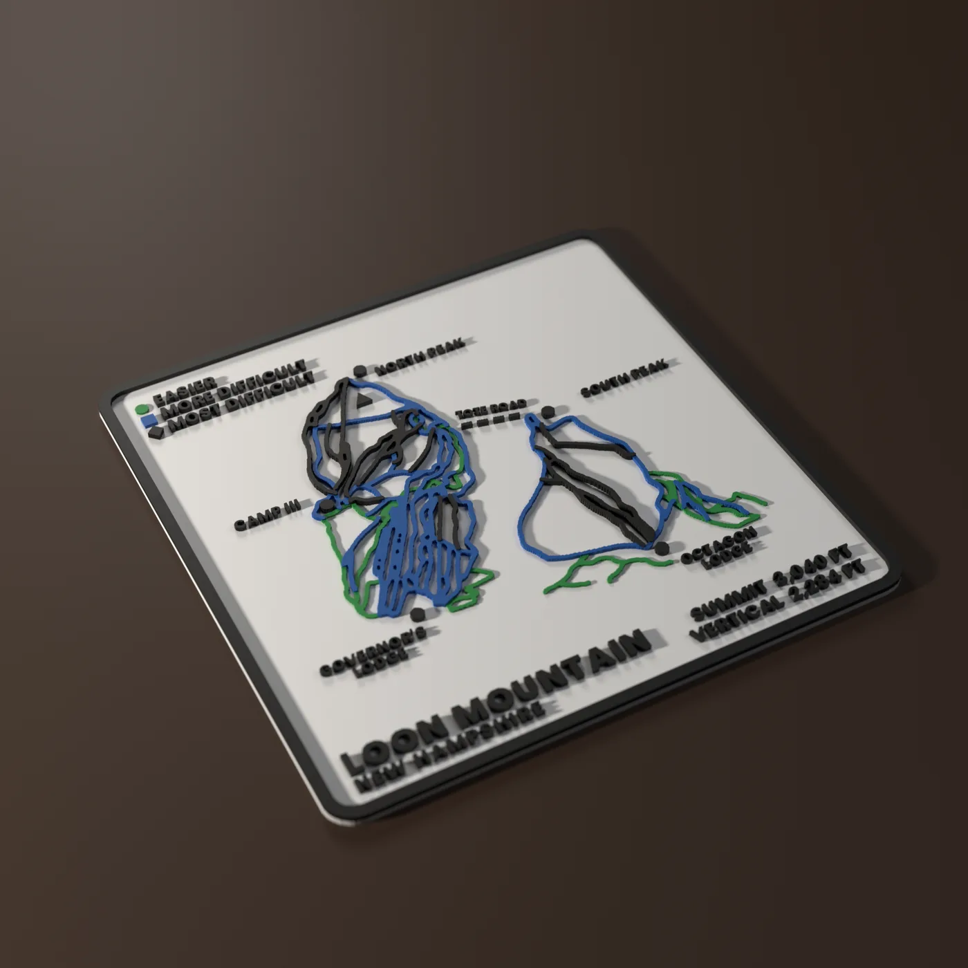 Loon SKIYEE plaque: raised green, blue and black trails on a white base with a black frame